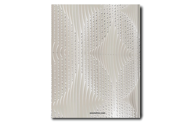 ASSOULINE Louis Vuitton Skin: Architecture of Luxury (Paris Edition) – Wynn  at Home