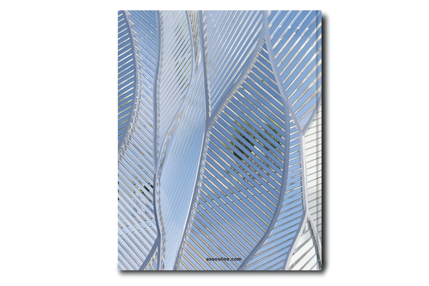 ASSOULINE Louis Vuitton Skin: Architecture of Luxury (Paris Edition) Coffee  Table Book – Cayman's
