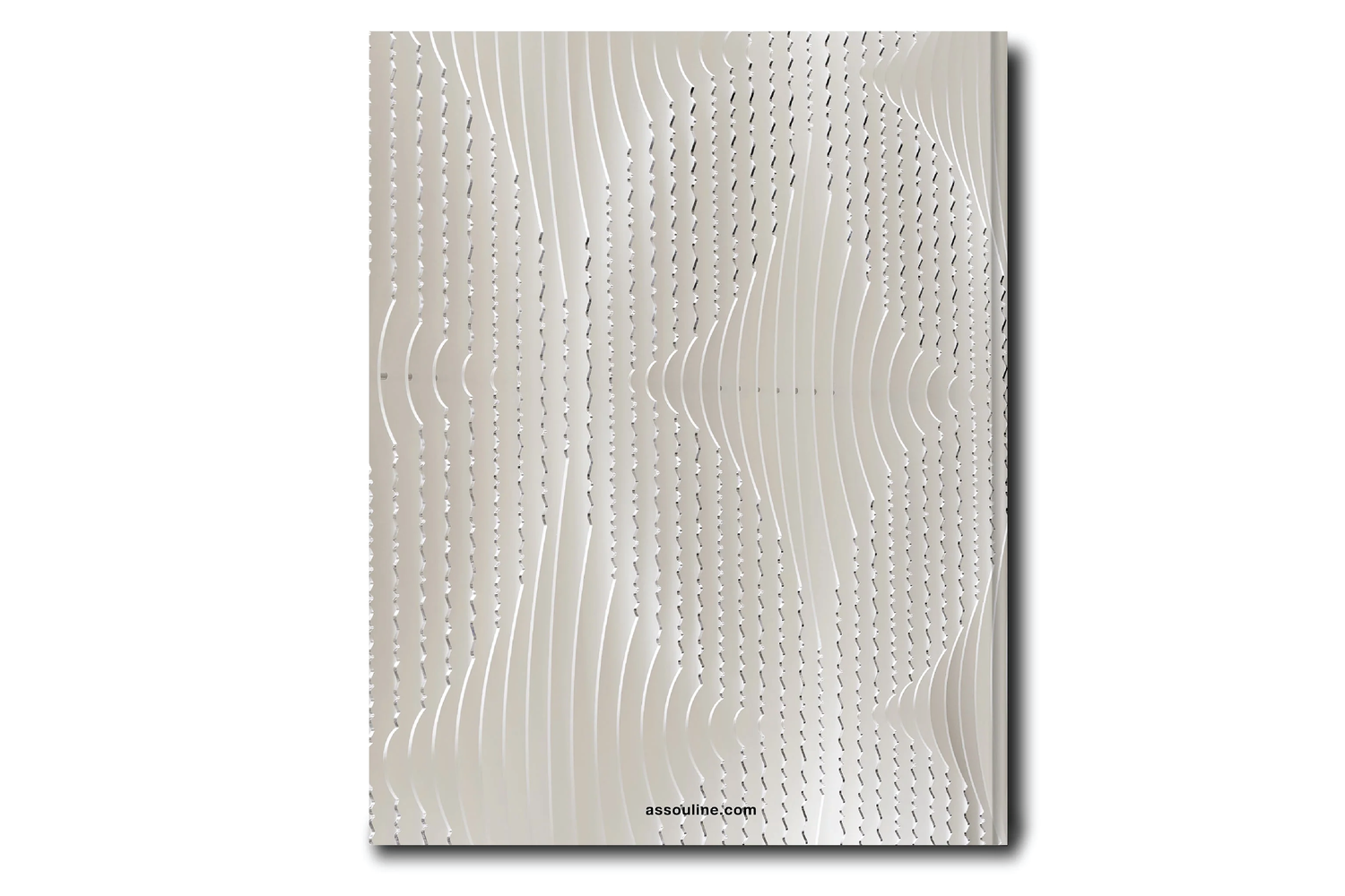 Louis Vuitton Skin: Architecture of Luxury NYC - Art of Living - Books and  Stationery