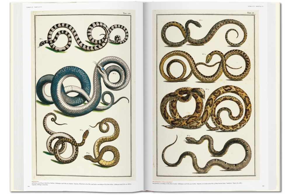 TASCHEN Seba. Cabinet of Natural Curiosities Book – Wynn at Home