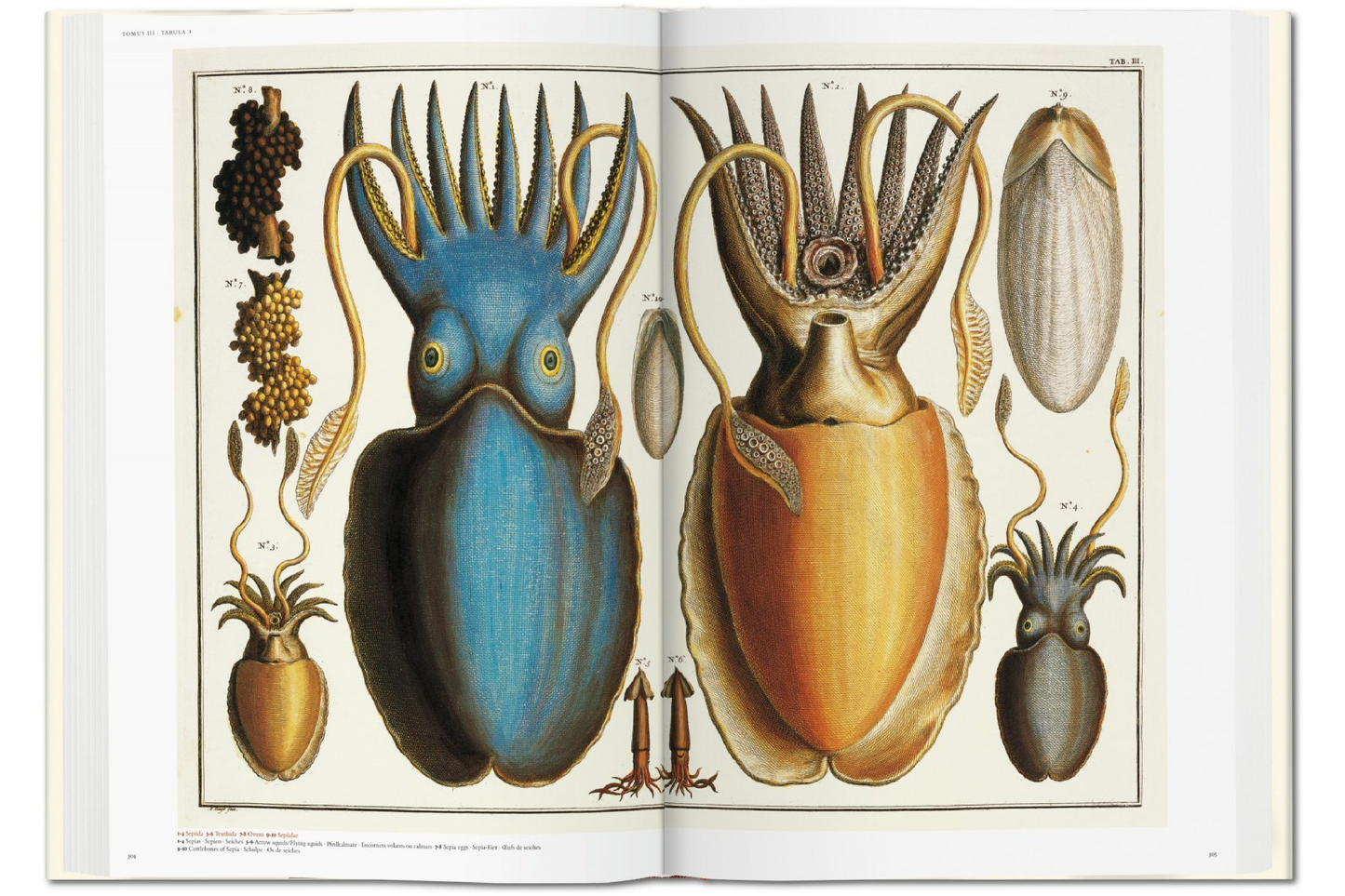 TASCHEN Seba. Cabinet of Natural Curiosities Book – Wynn at Home