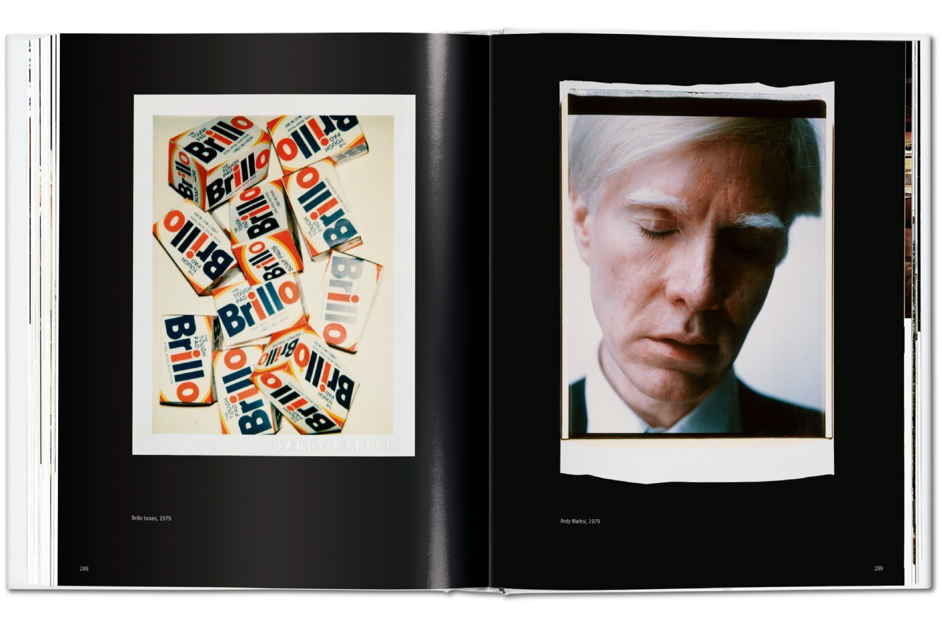 TASCHEN Andy Warhol. Polaroids 1958-1987 – Wynn at Home